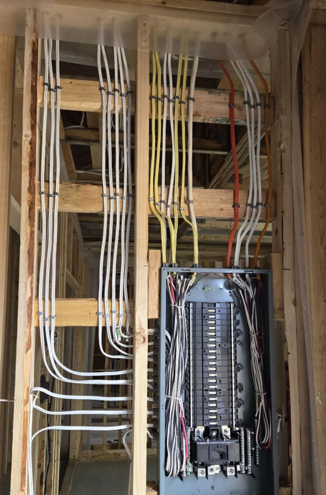 Two people grooming a dog